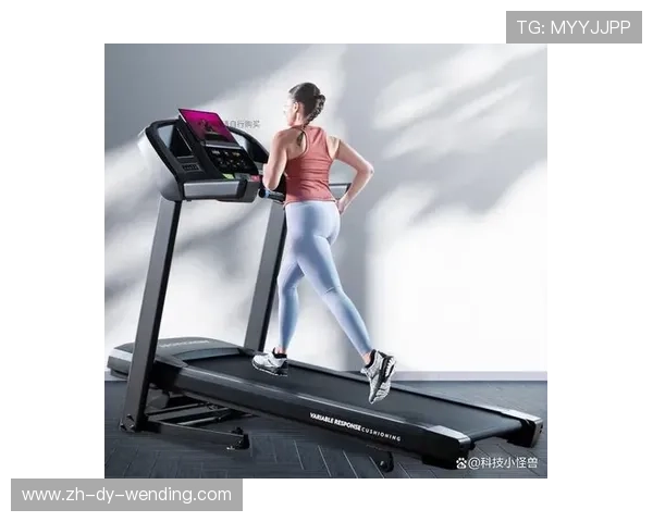 进口健身器材哪家好及产品质量评测