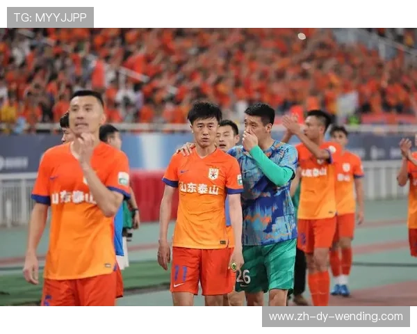 鲁能泰山队在中超联赛中的整体表现与战术评估